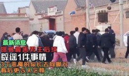 爆料邯郸事件最新消息,真相逐步浮出水面